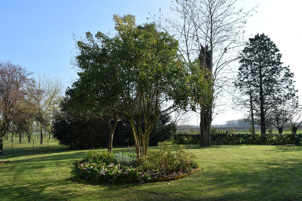 Al Vecchio Fienile Bed and Breakfast San Michele al Tagliamento Exteriör bild